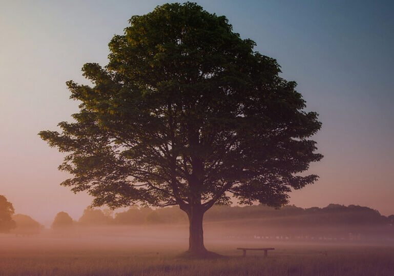 Presence-Is-Where-Your-Power-Lives