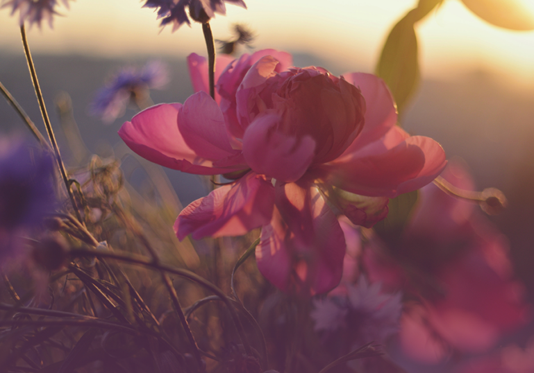 The-Energy-I-Contribute-to-the-World